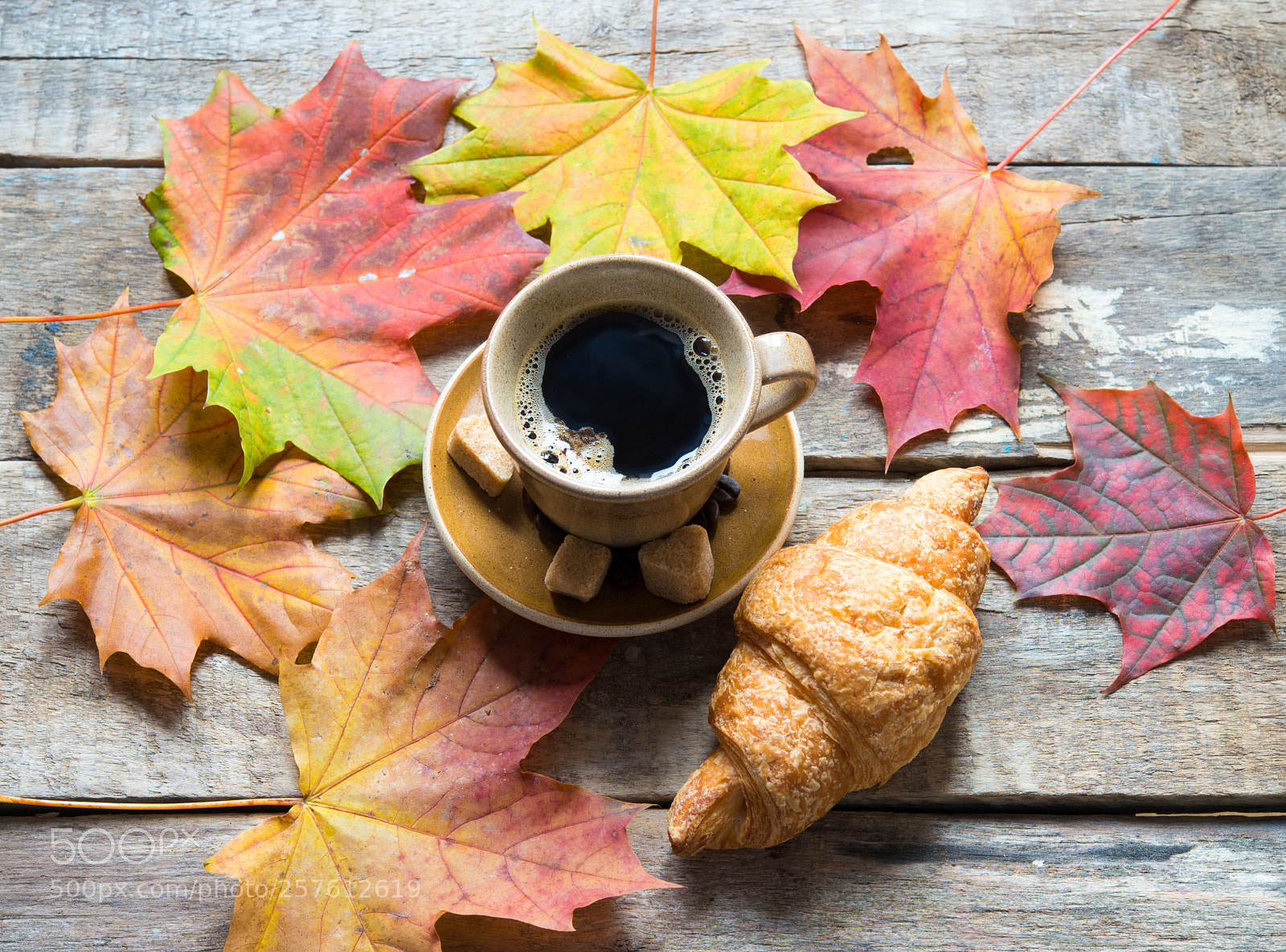 Nikon D800E sample photo. Coffee time photography