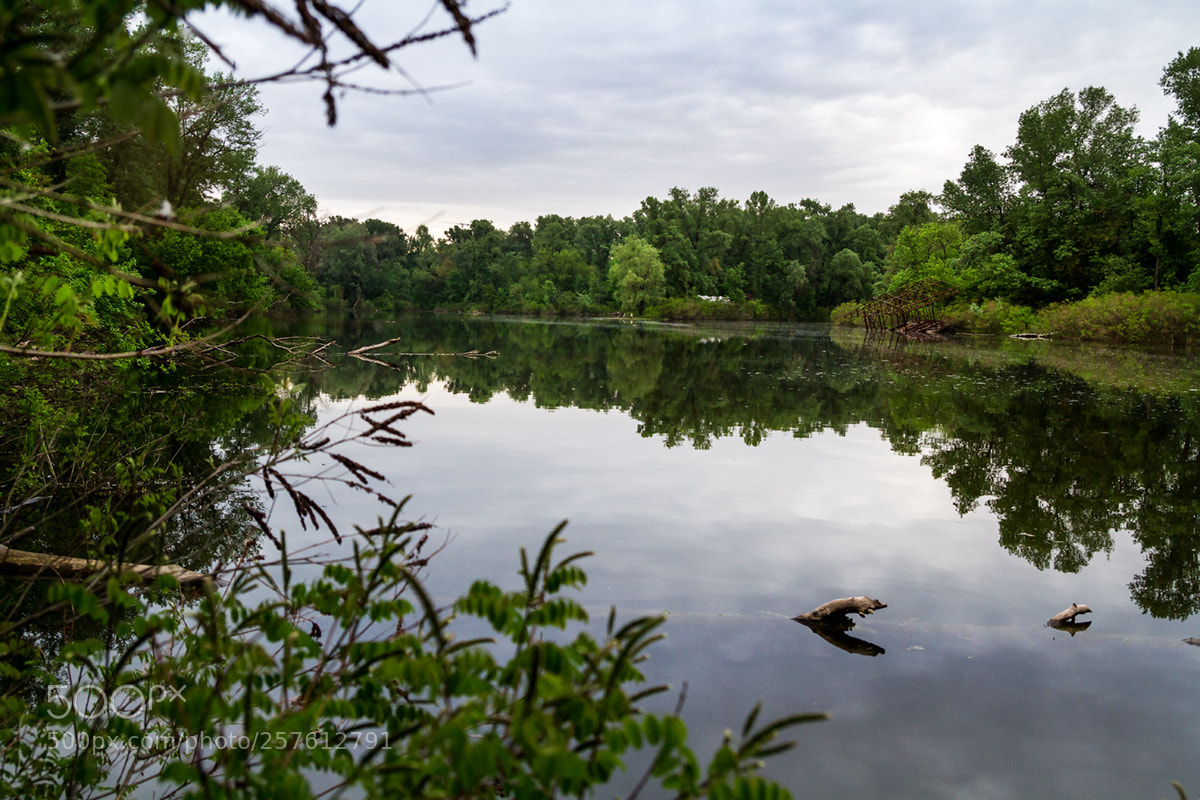 Canon EOS 7D sample photo. Гідропарк,обійстя бобрів. photography