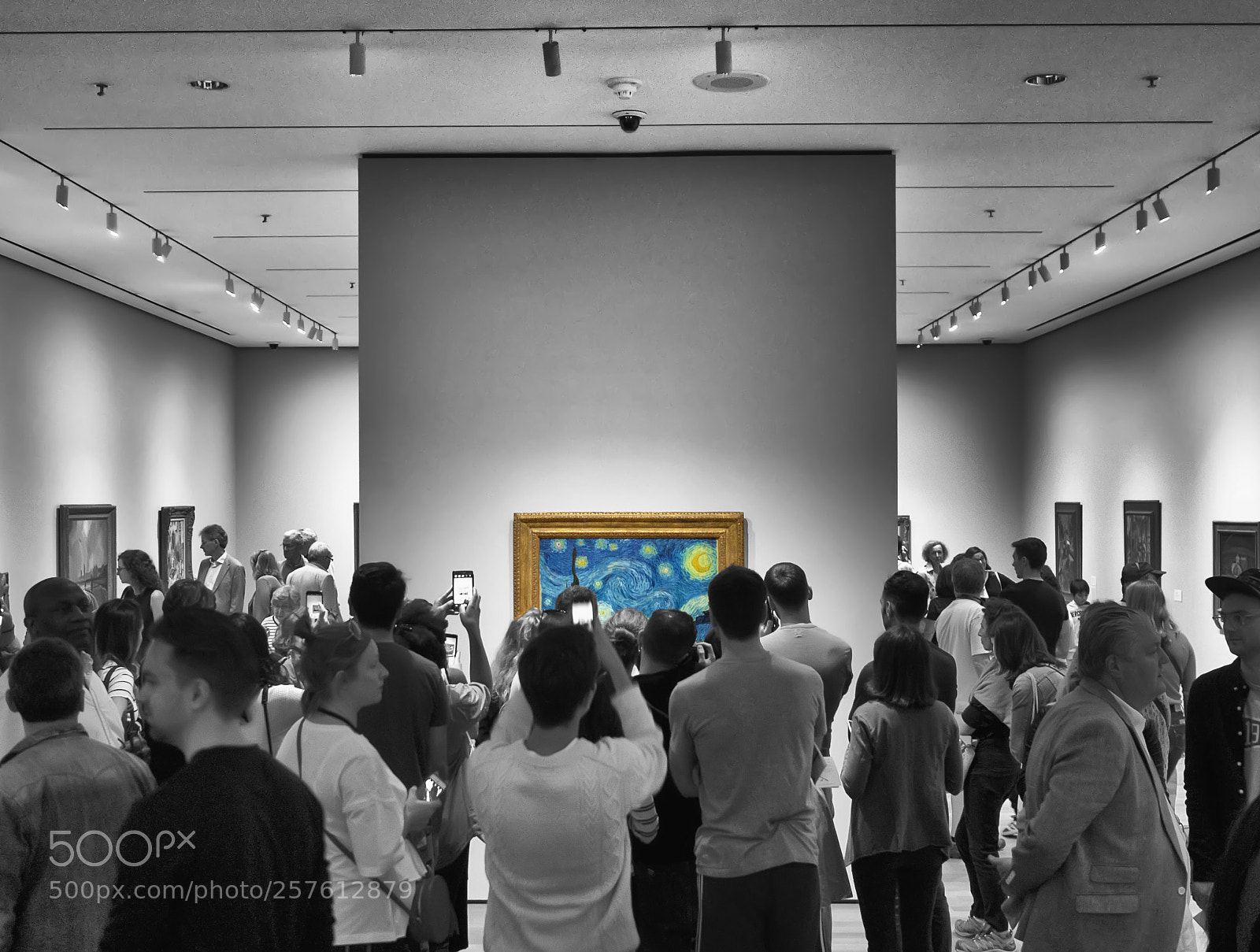 Olympus OM-D E-M5 sample photo. (crowed) starry night photography