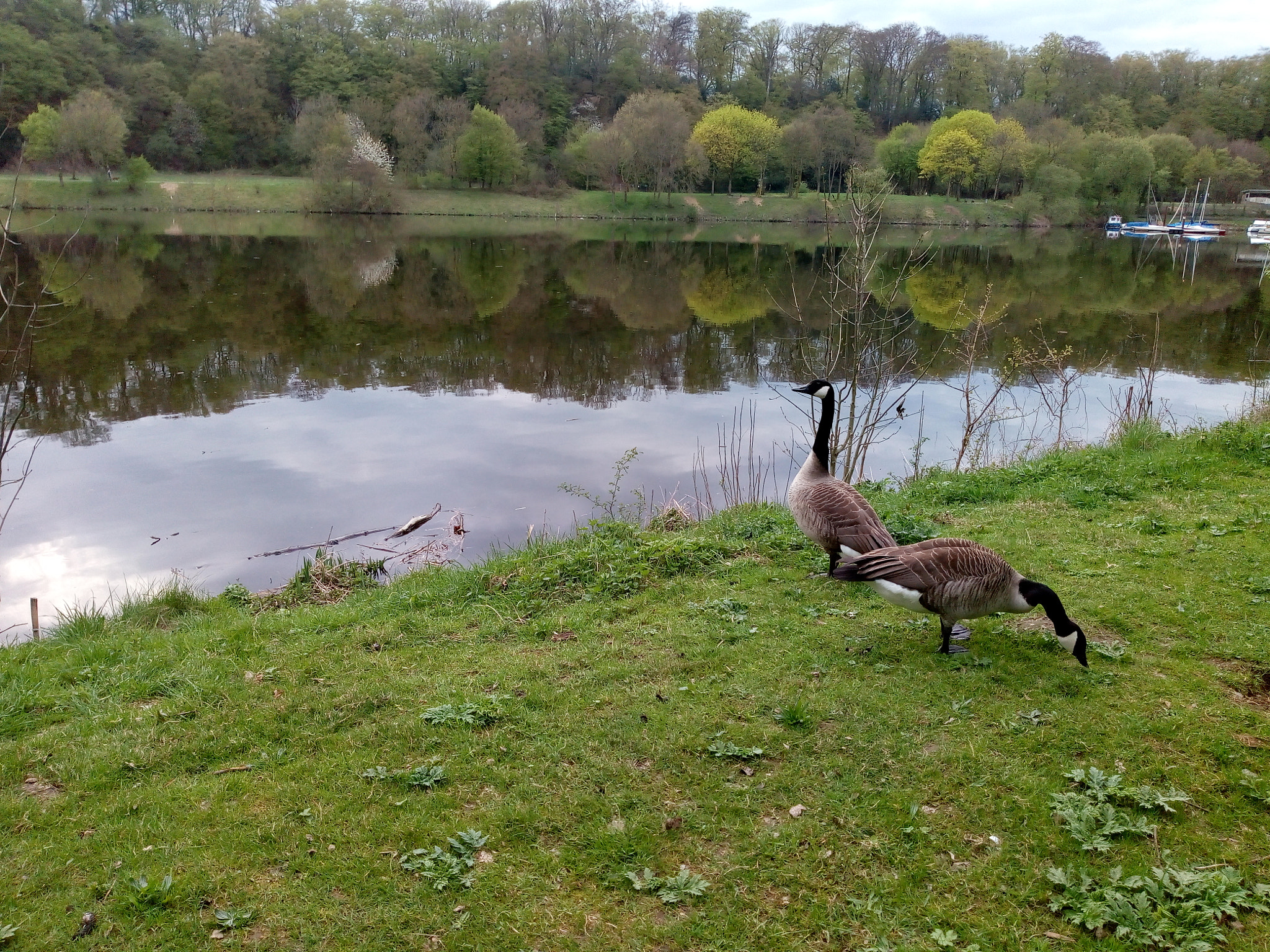 Motorola Moto E (4) Plus sample photo. Beautiful lake photography
