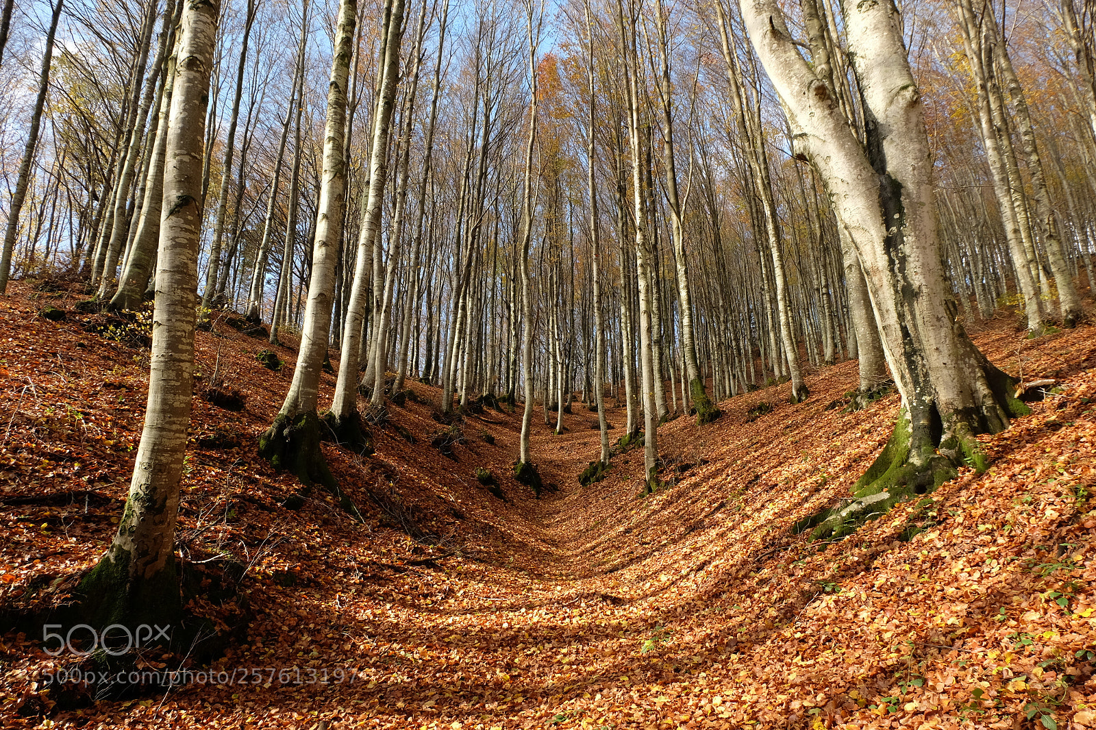 Fujifilm X-M1 sample photo. Passo sambuca ottobre 2016 photography