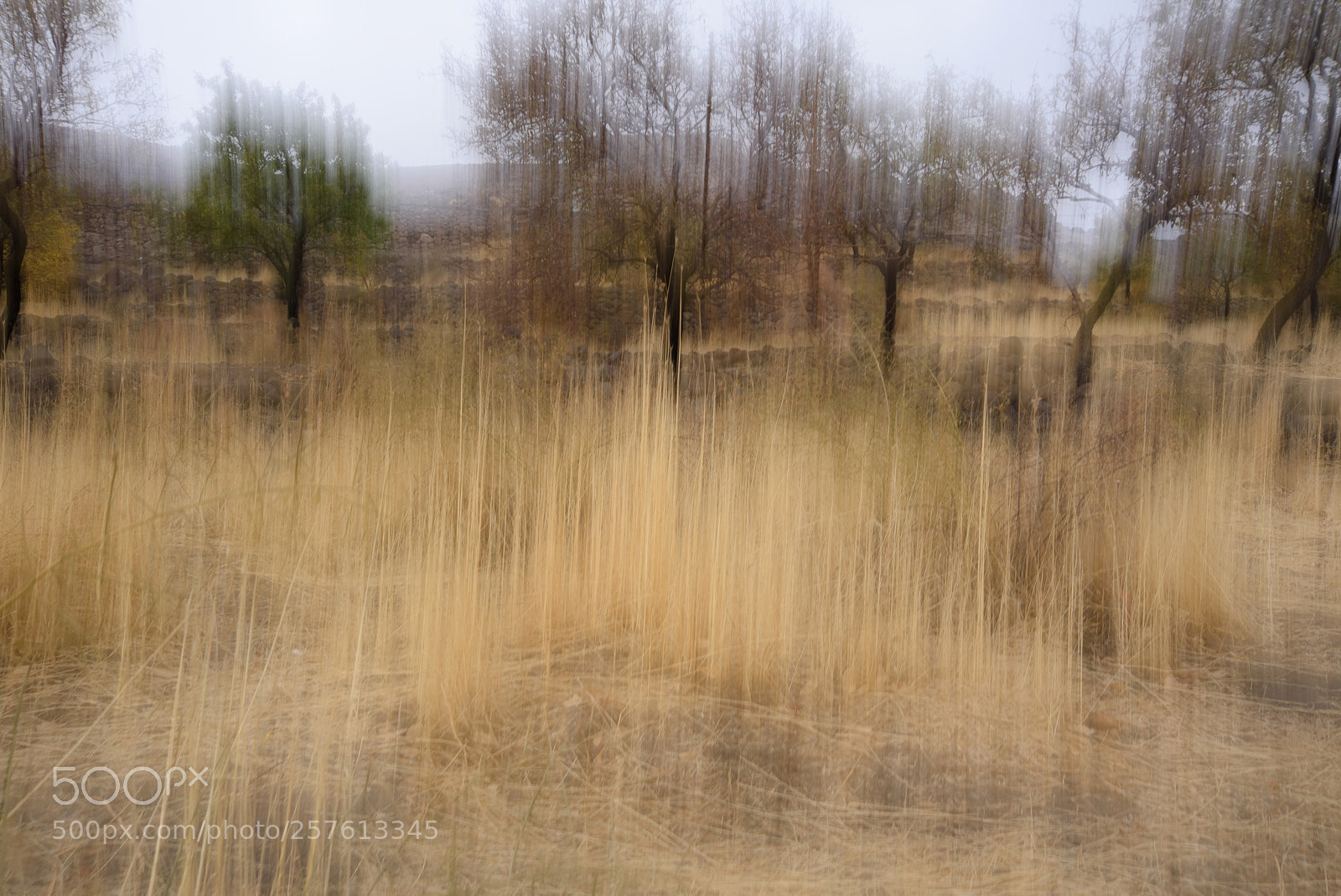 Nikon D750 sample photo. Run photography