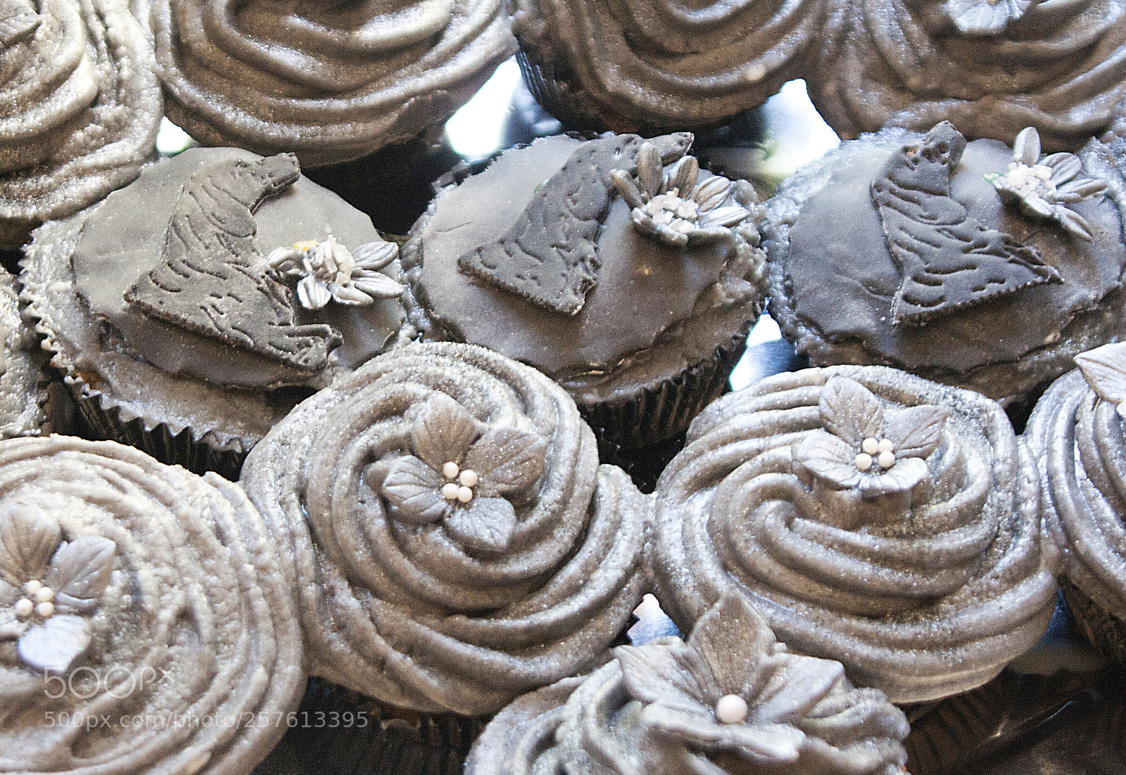 Canon EOS 350D (EOS Digital Rebel XT / EOS Kiss Digital N) sample photo. Black dog muffins o photography