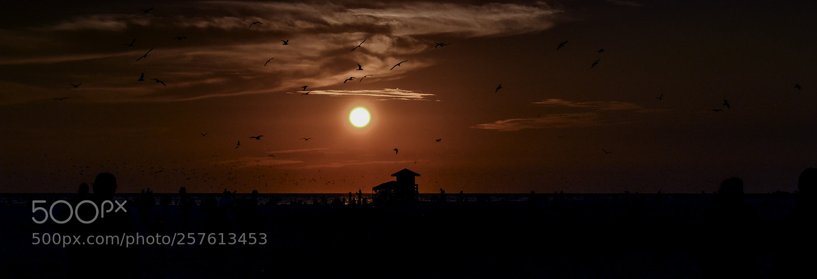 Nikon D3100 sample photo. Sarasota beach photography