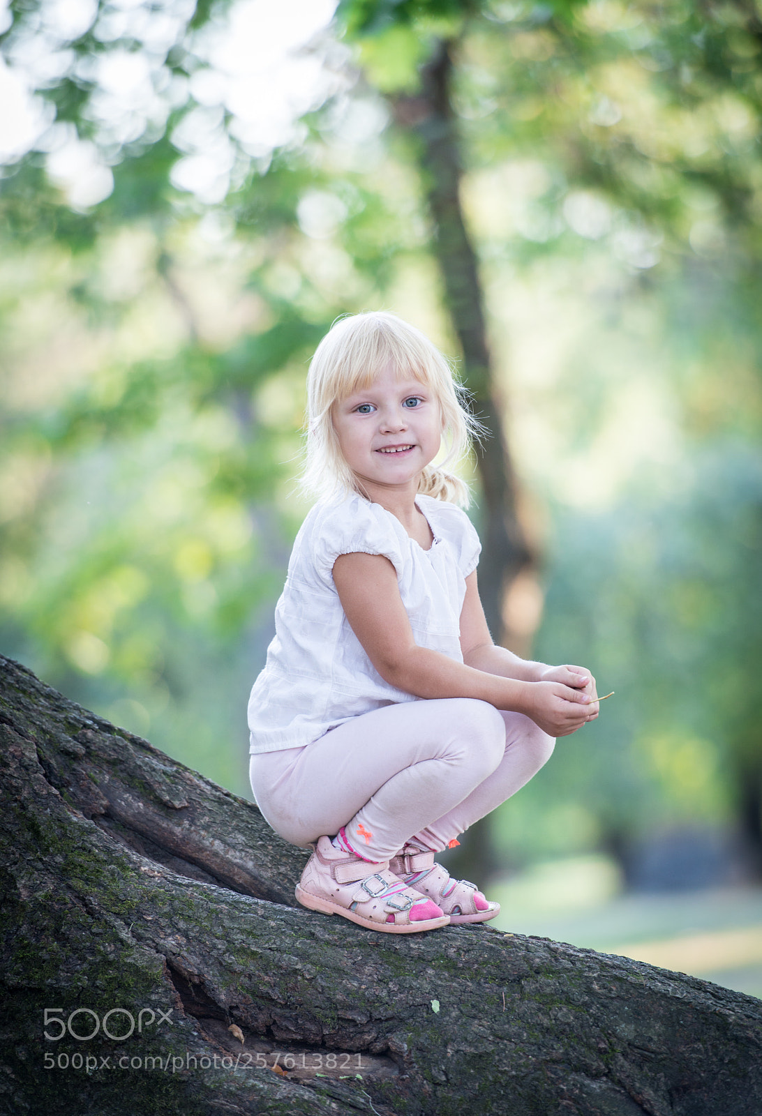 Nikon D800E sample photo. Untitled photography