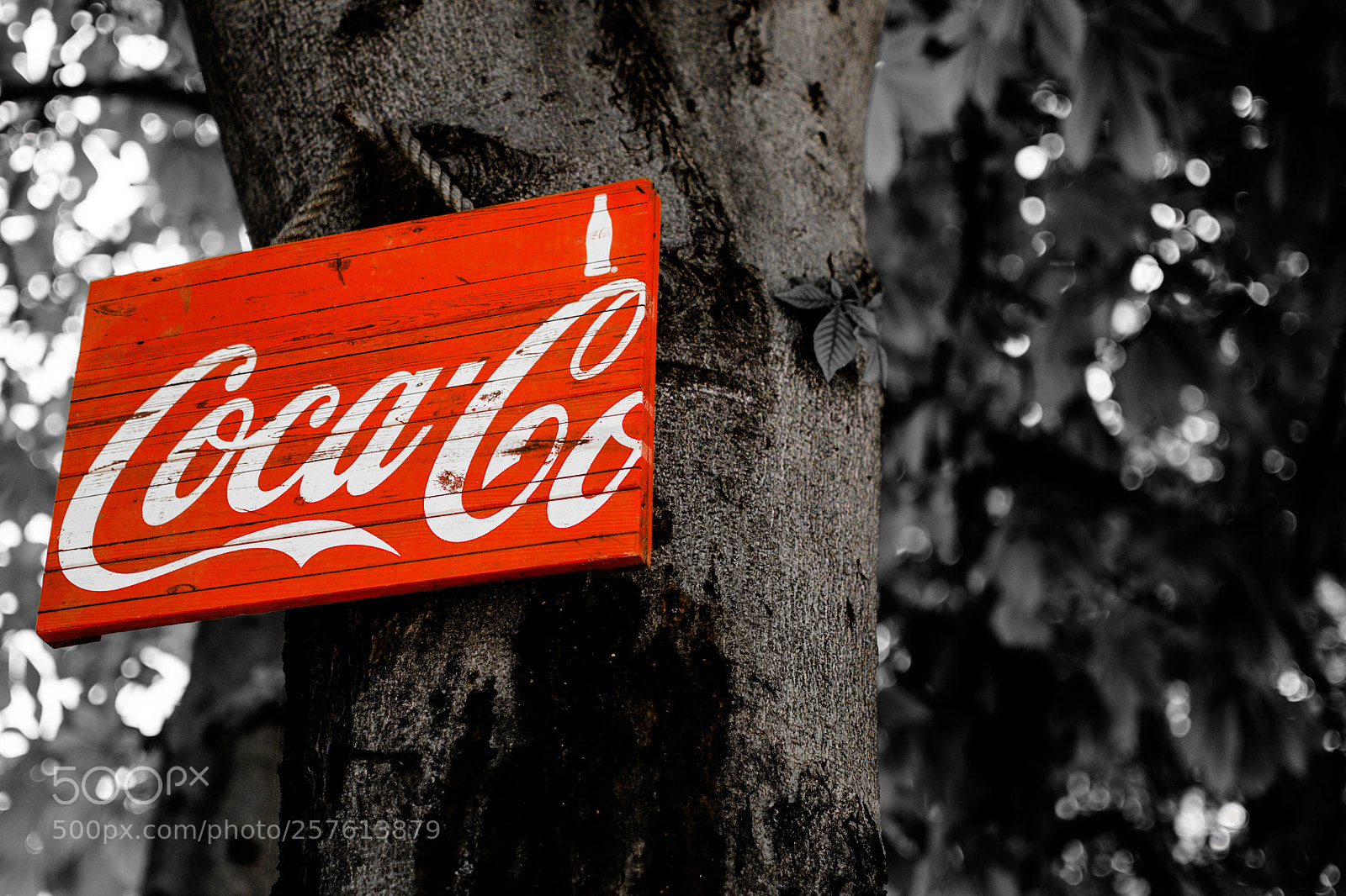 Nikon D7200 sample photo. Bottle and color photography