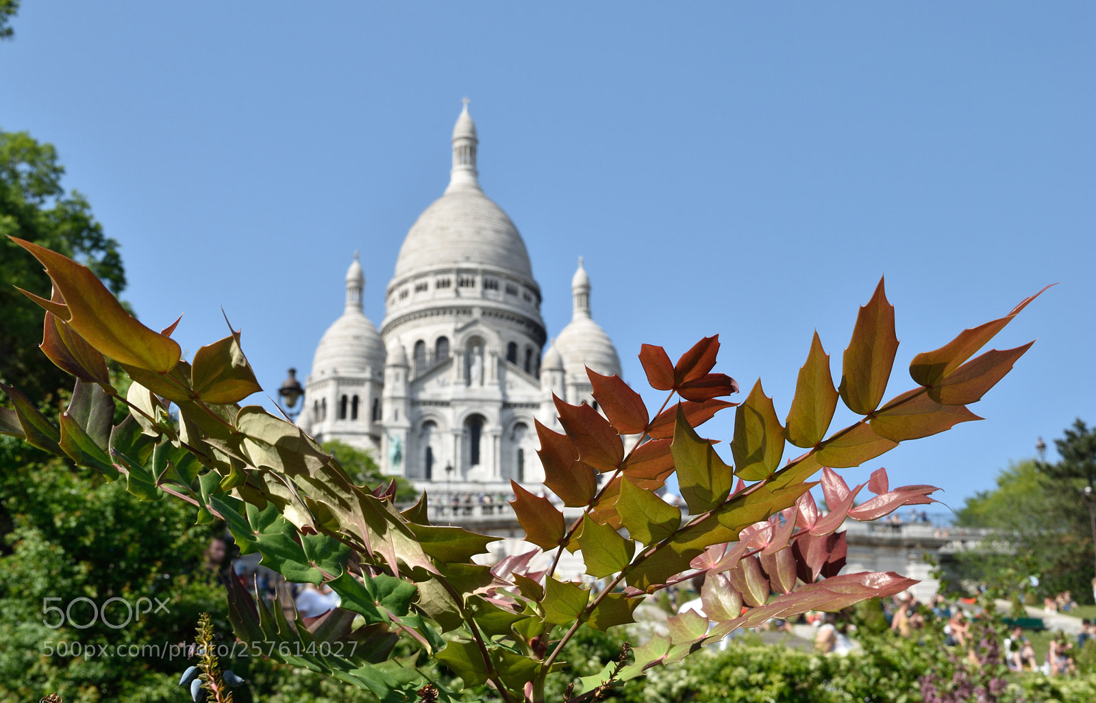 Nikon D5500 sample photo. Sacré-cœur photography
