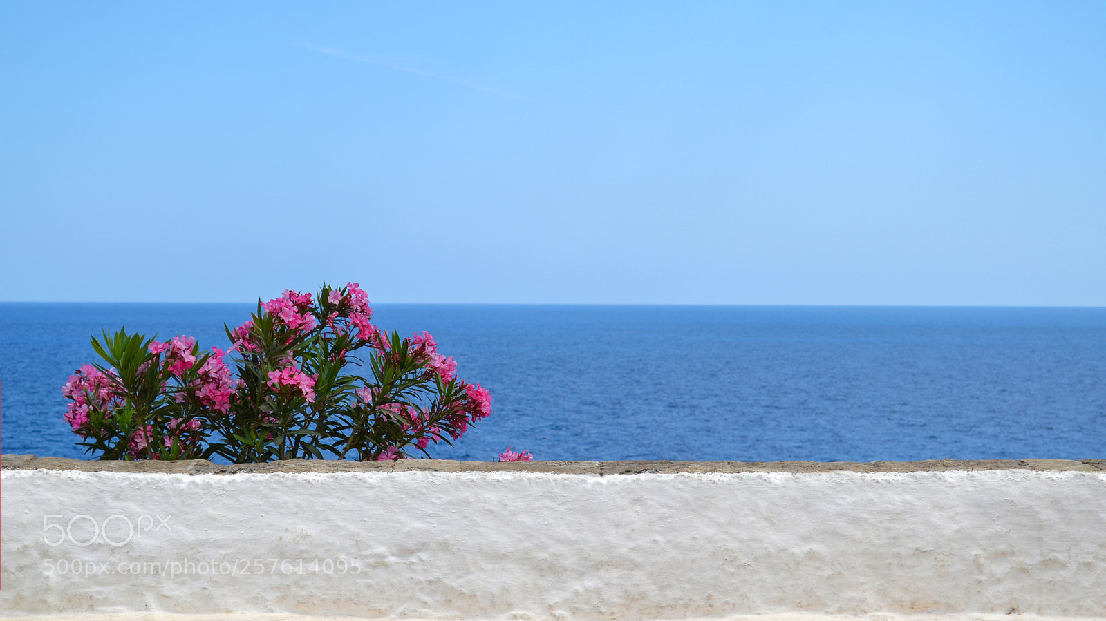 Nikon D3100 sample photo. Summer days photography