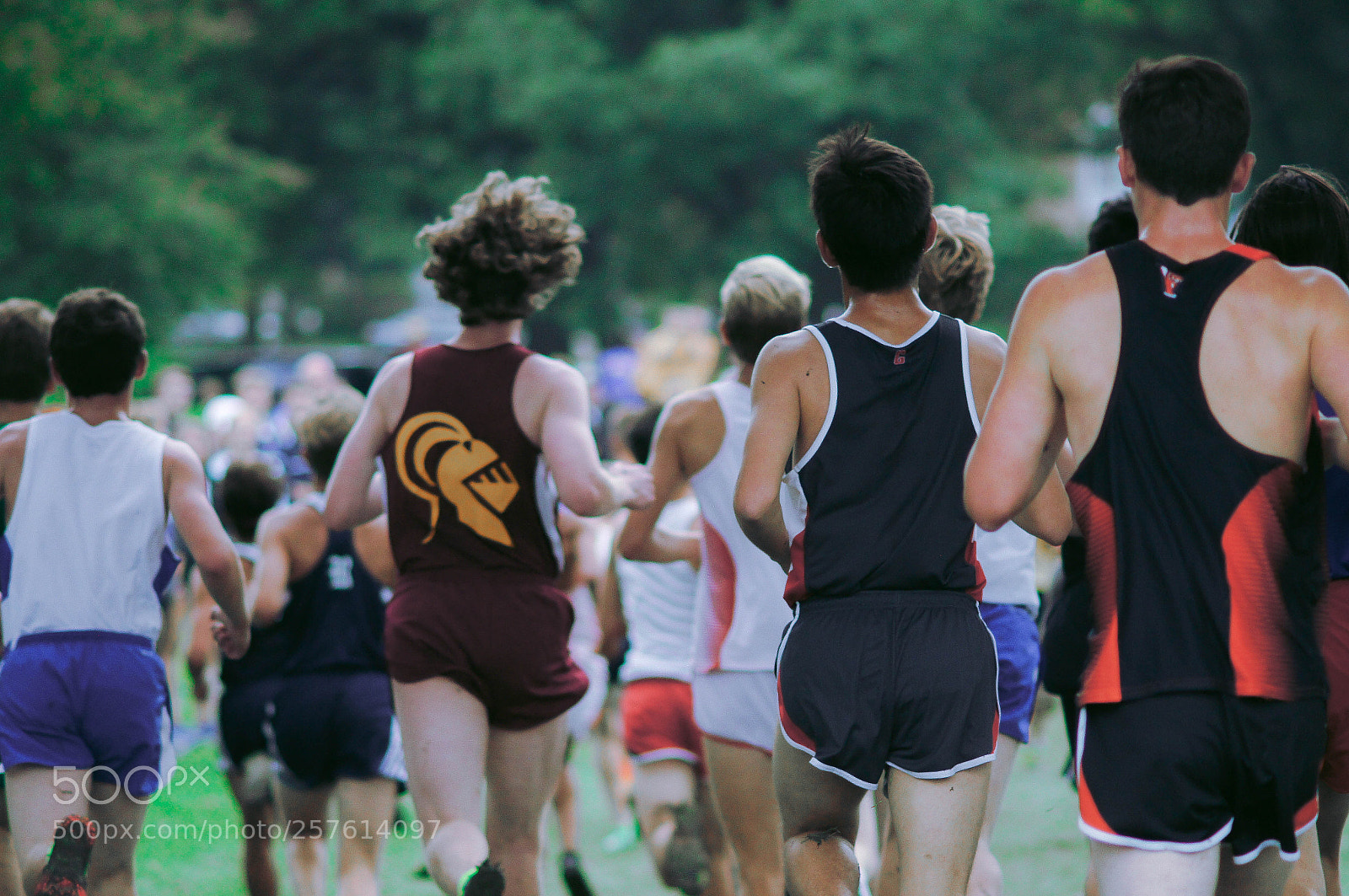 Sony SLT-A55 (SLT-A55V) sample photo. Cross country runners photography