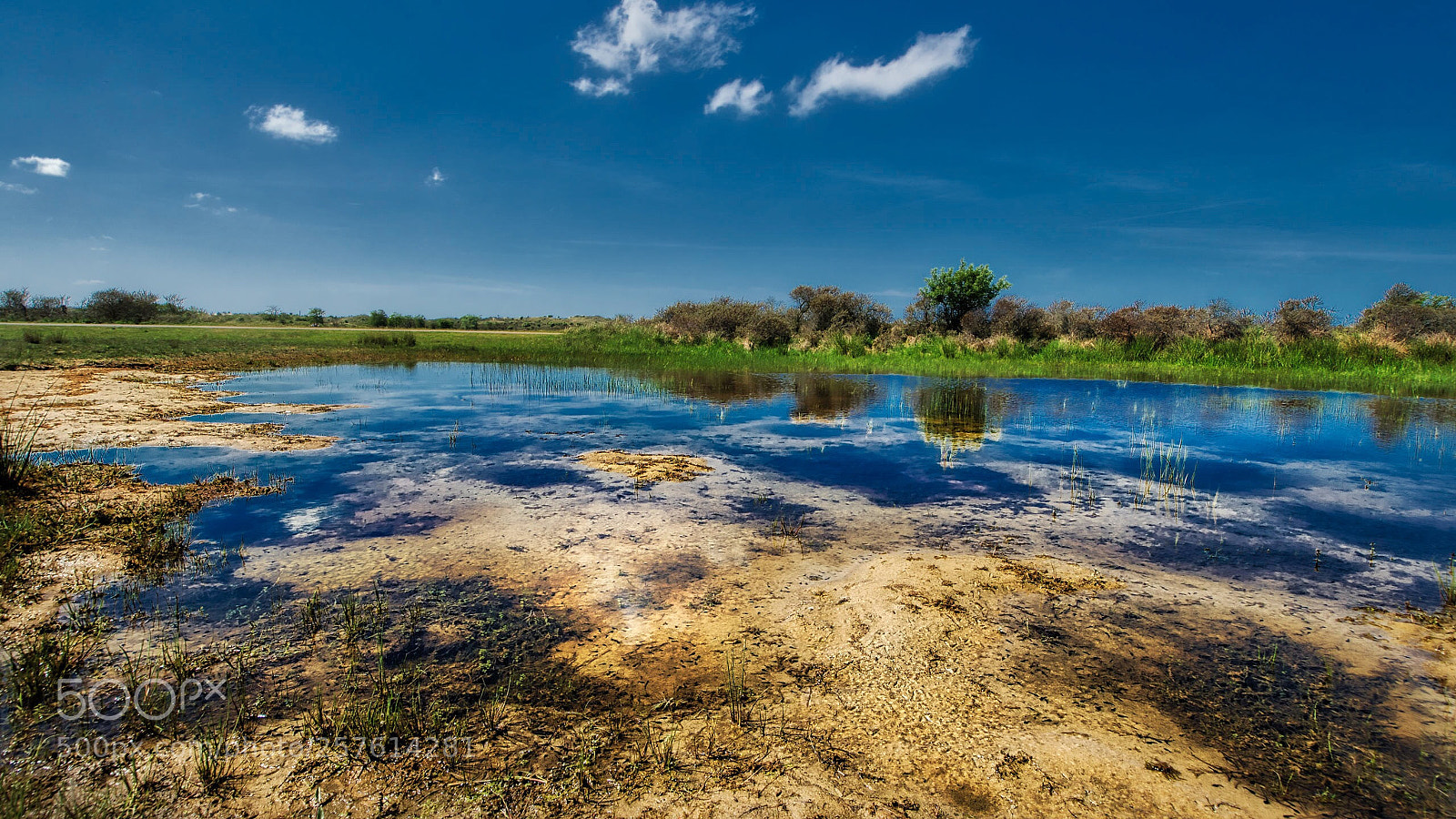 Nikon D500 sample photo. A pond in the photography