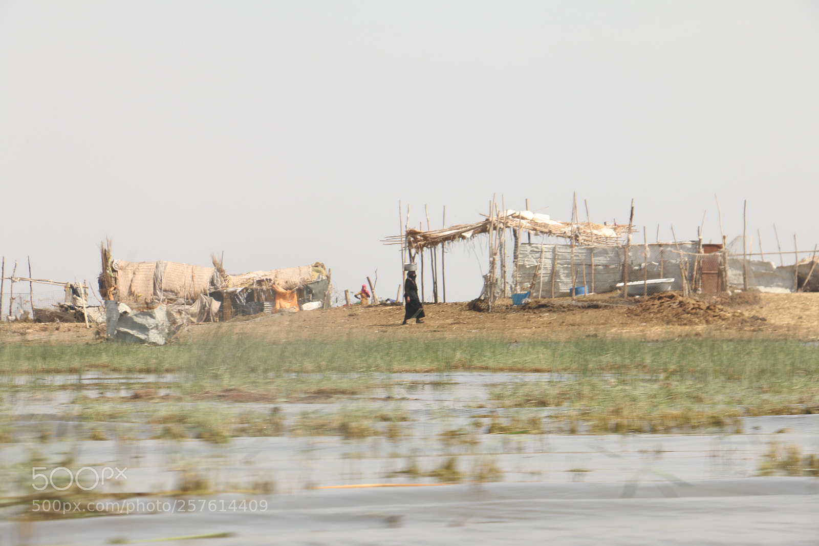 Canon EOS 70D sample photo. Untitled photography