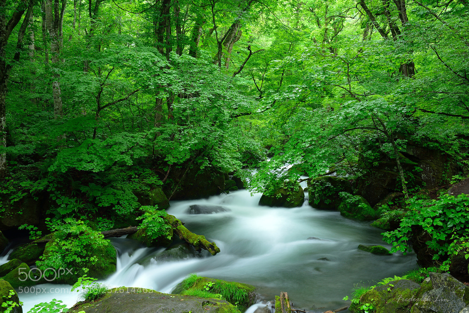 Nikon D800 sample photo. Summer stream photography