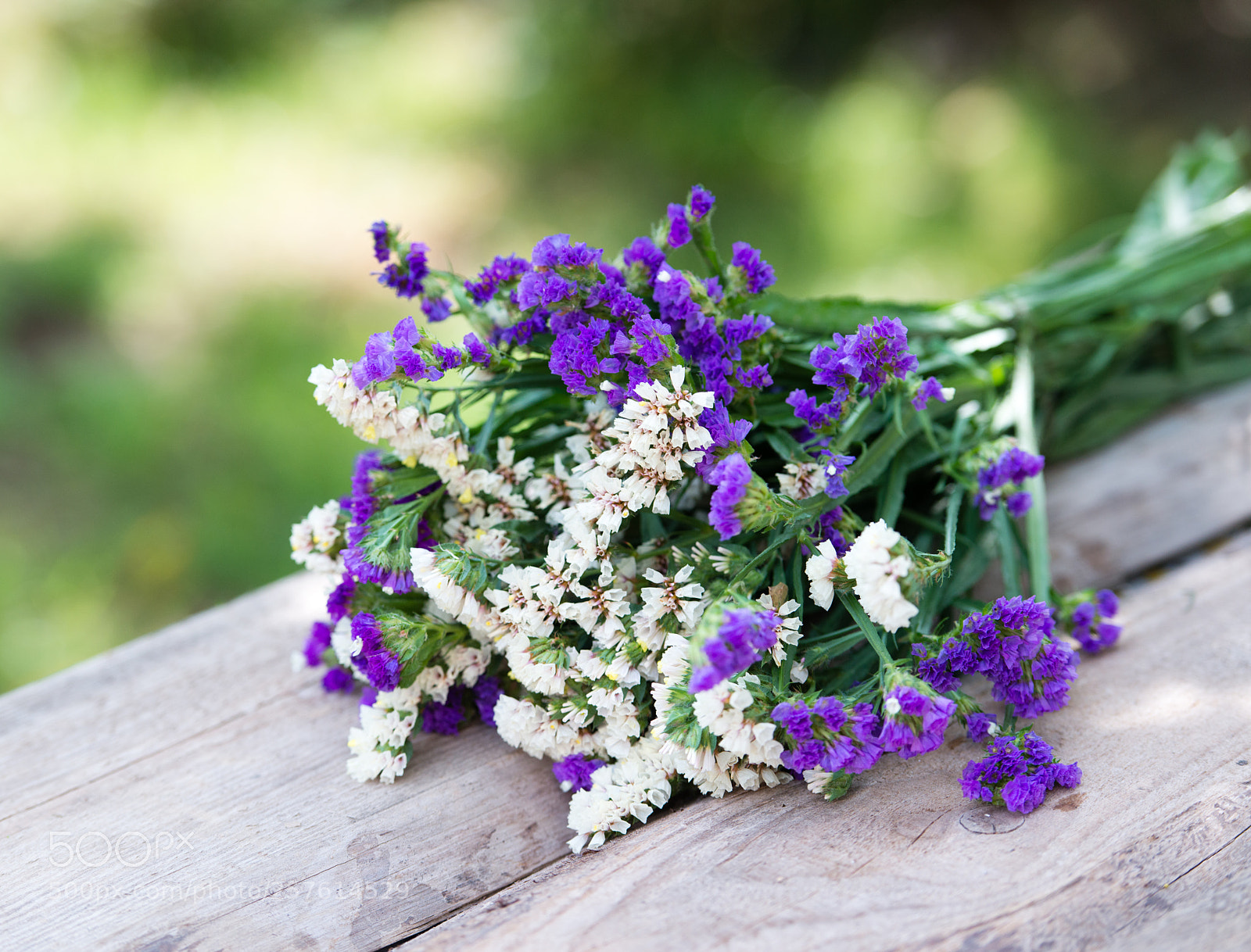Nikon D800E sample photo. Flowers photography