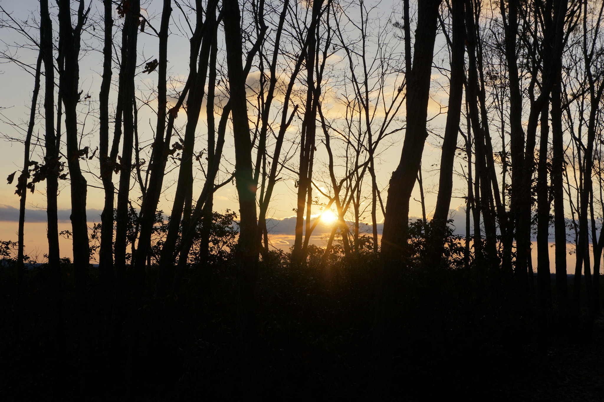 Sony Alpha NEX-7 sample photo. Blueberry hill, nj photography