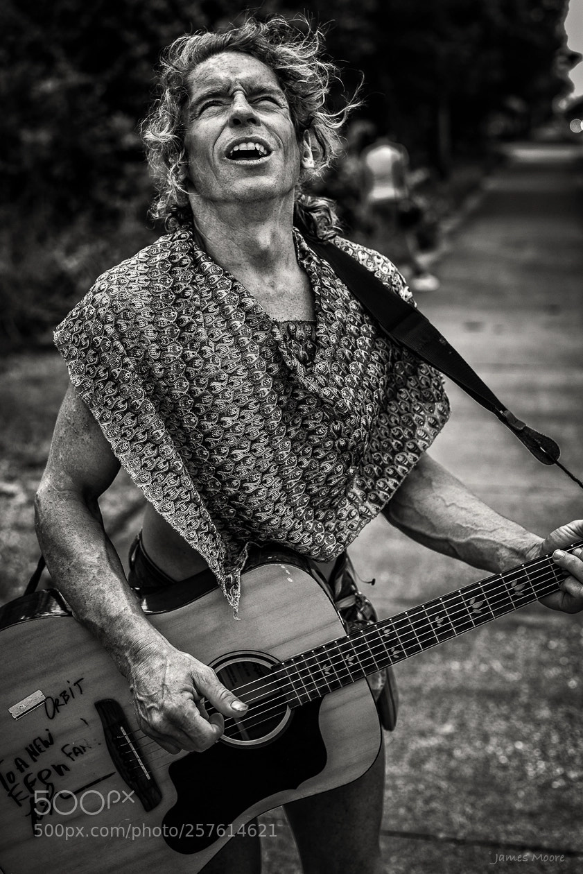 Nikon D750 sample photo. "minstrel man" photography