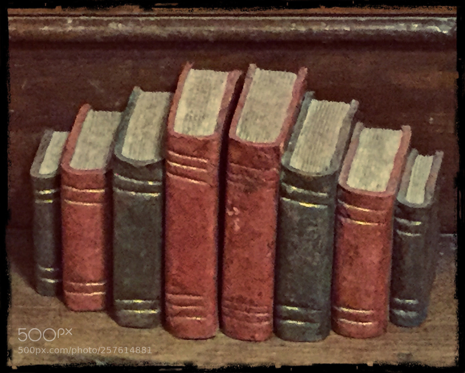 Apple iPhone 6 sample photo. Books photography