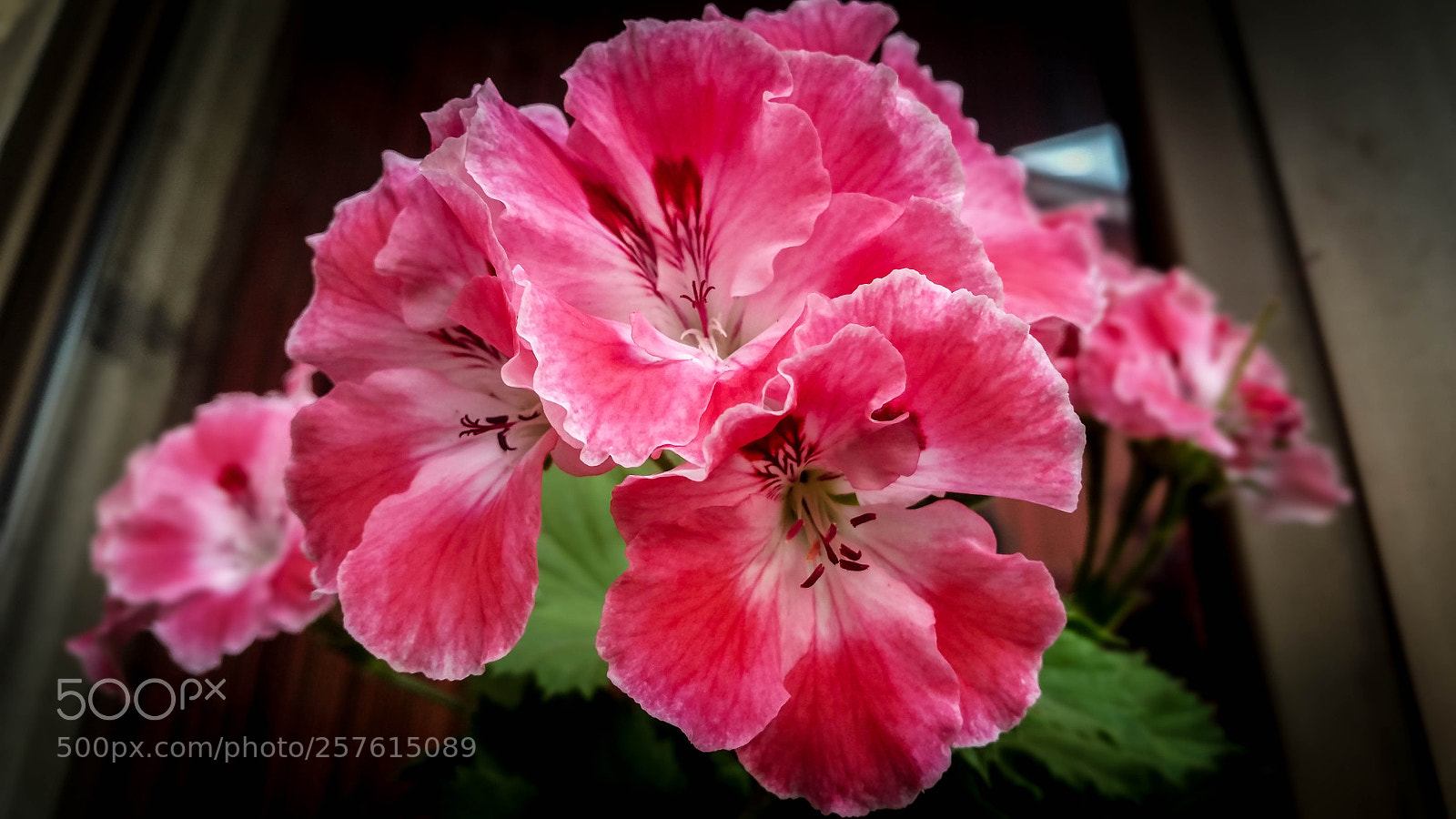 Samsung Galaxy S5 sample photo. 20180512_165241.jpg photography