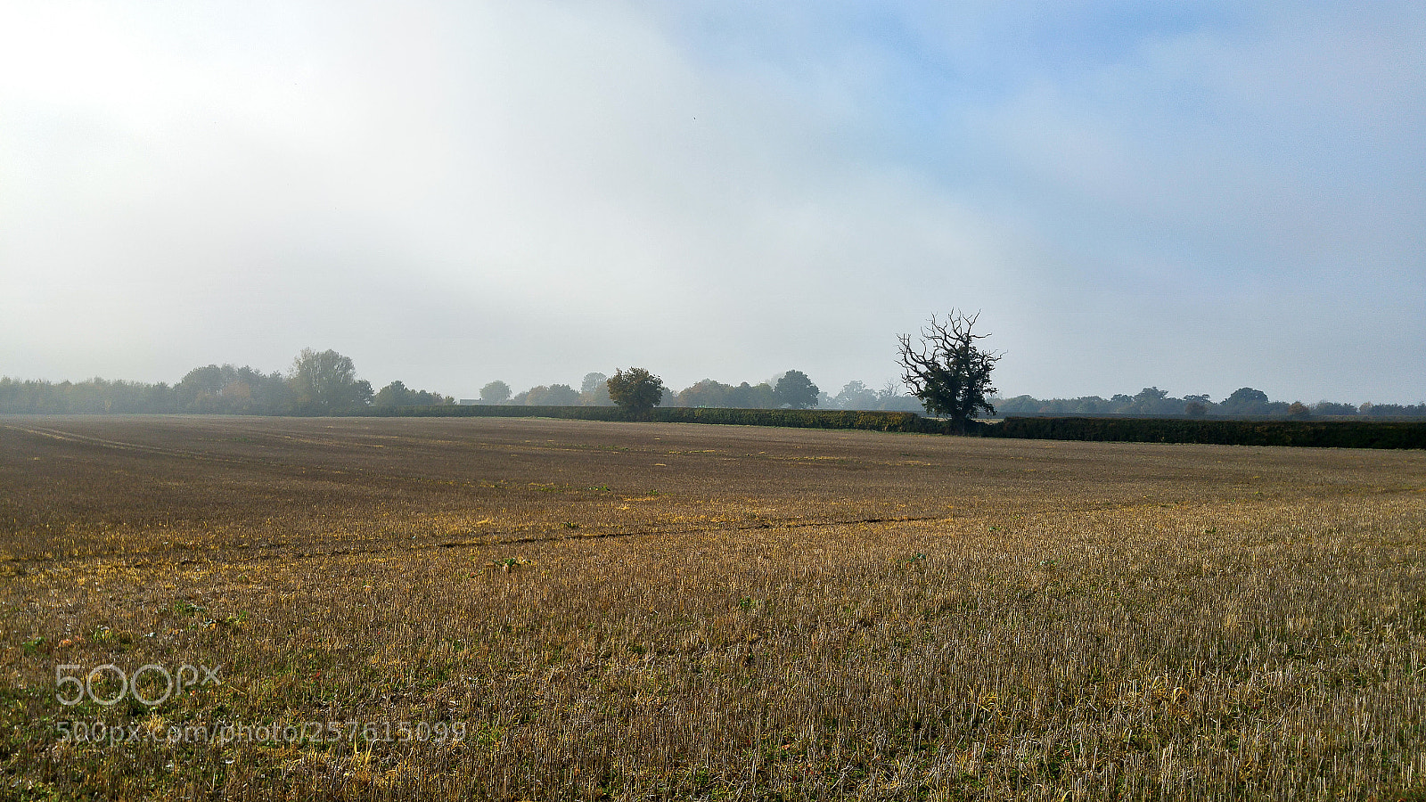 LG G4 sample photo. Oxford fieldsjpg o photography