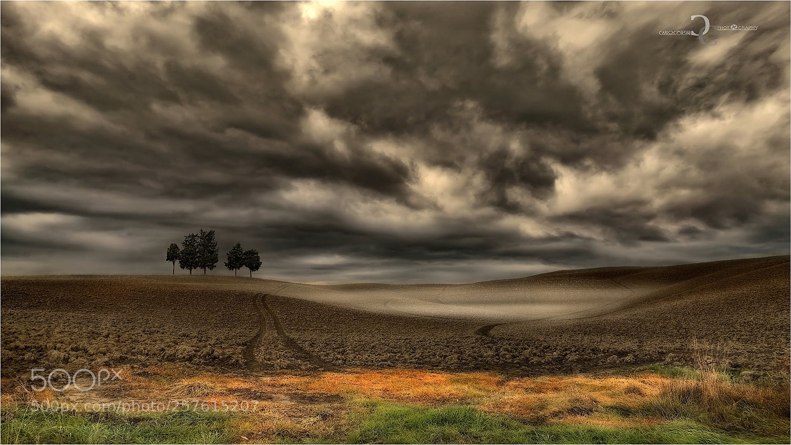 Nikon D610 sample photo. Herbicides photography
