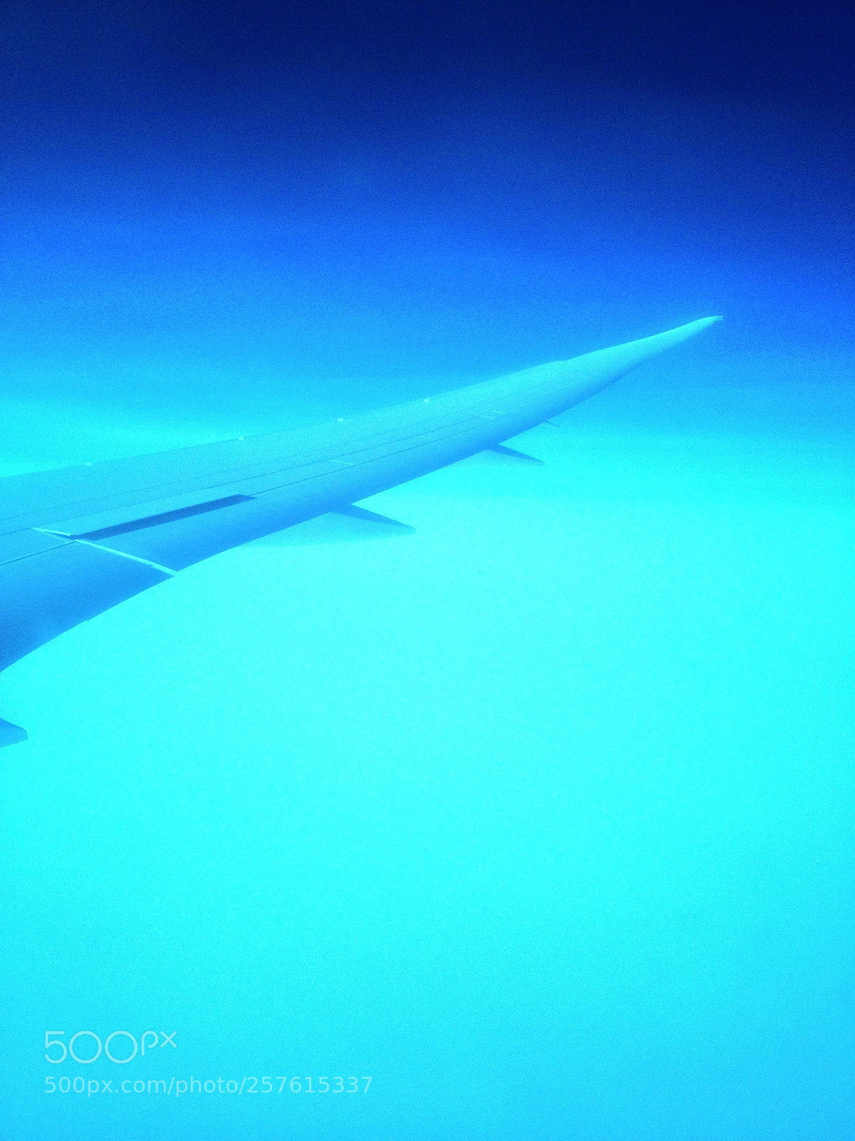 Apple iPhone 4S sample photo. Blue wing photography