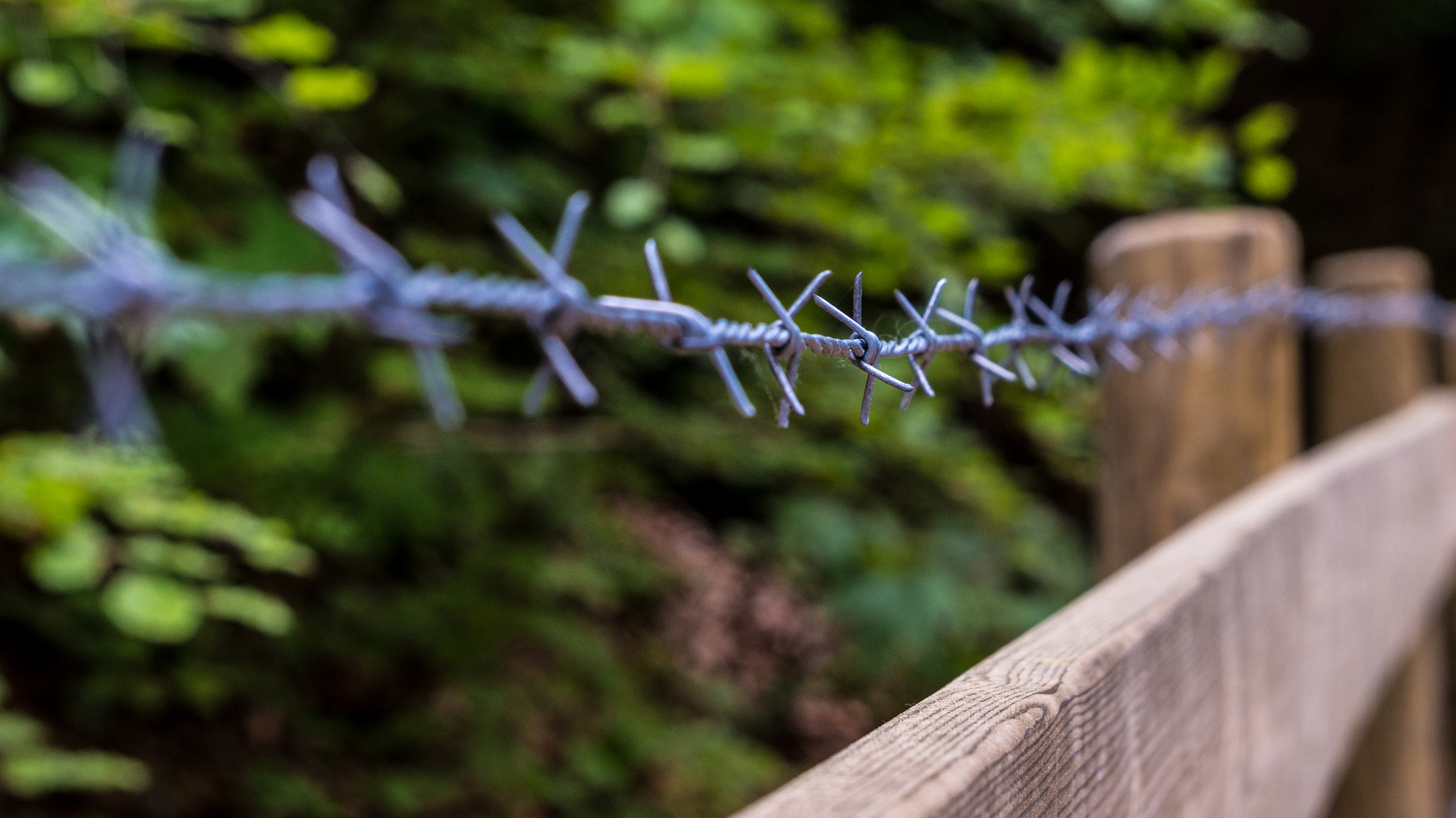 Sony Alpha NEX-3N sample photo. Unexpected trench photography