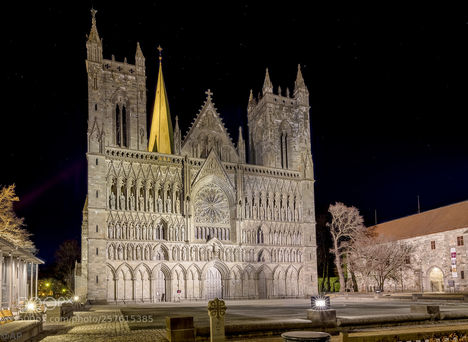 Canon EOS 5DS R sample photo. Nidaros cathedral at night photography