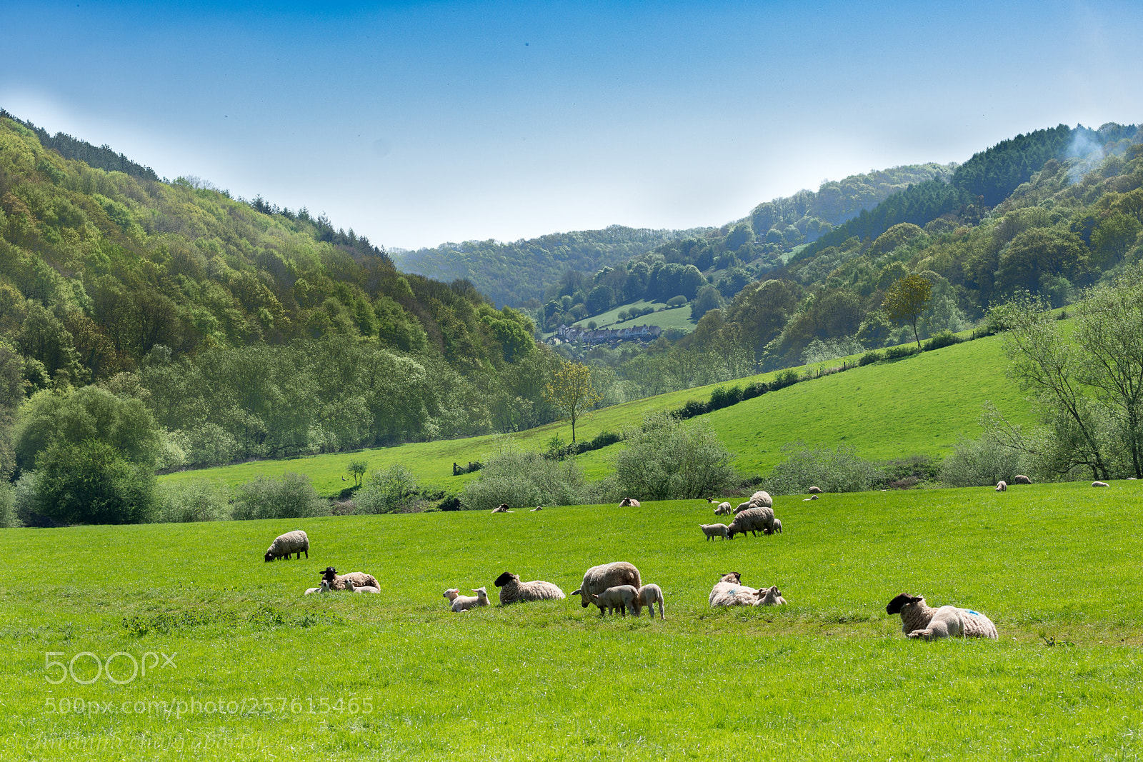 Nikon D7200 sample photo. English county photography