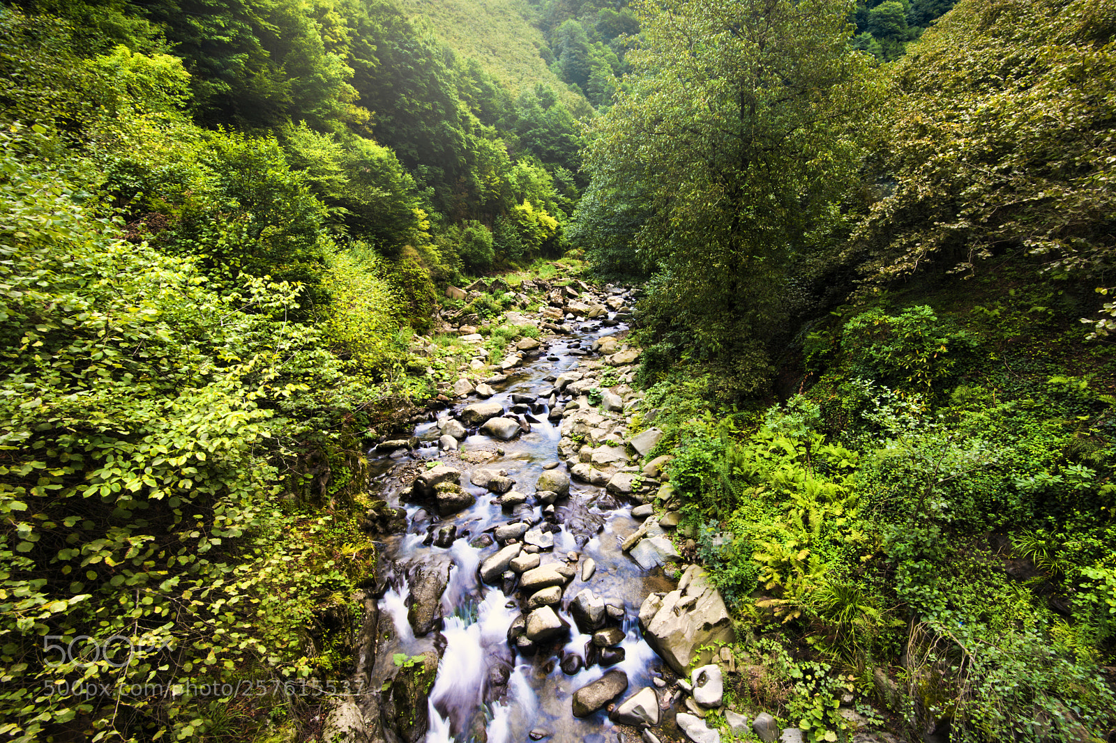 Nikon D800 sample photo. ... photography