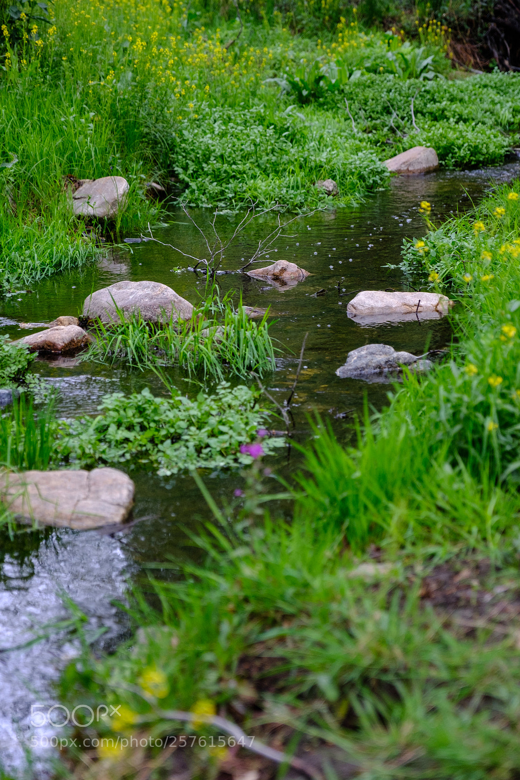 Fujifilm X-T2 sample photo. Seely creek 6905 photography