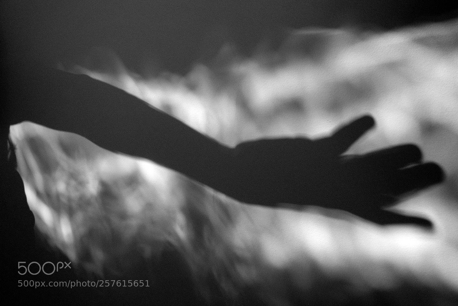 Fujifilm X-T2 sample photo. Untitled photography