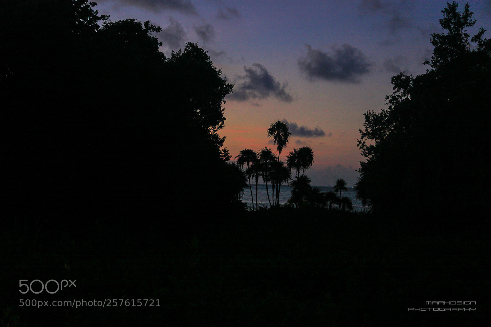 Canon EOS 5D Mark II sample photo. Palms sunrise photography