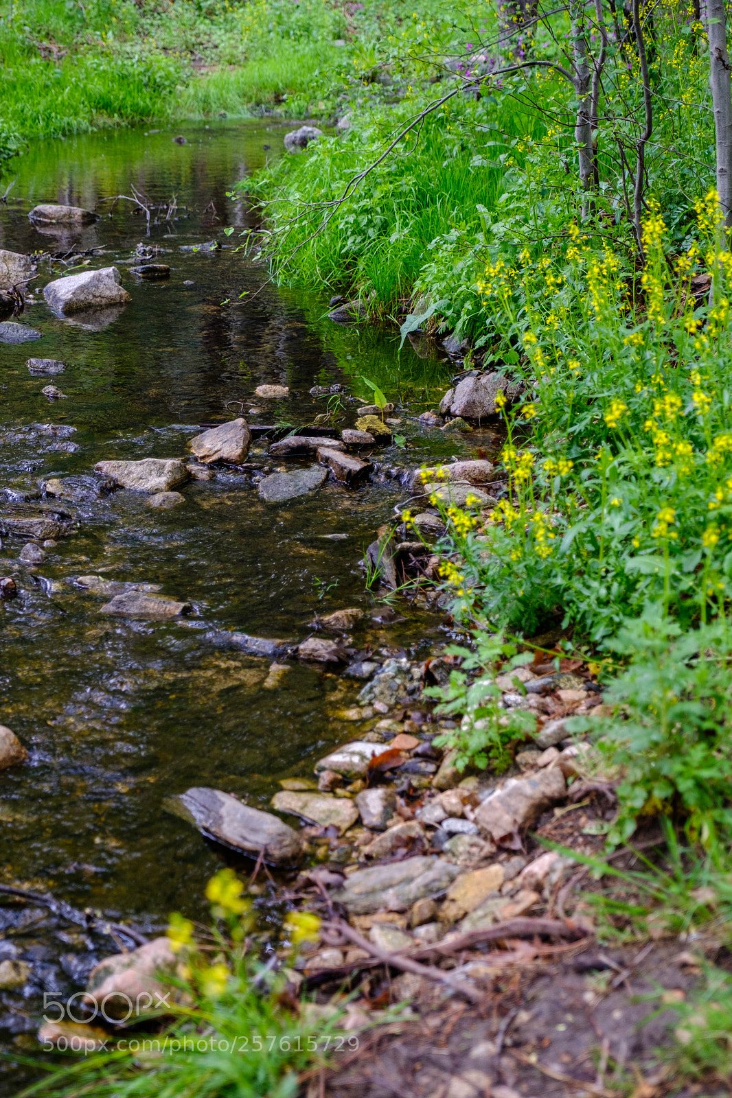 Fujifilm X-T2 sample photo. Seely creek 6925 photography