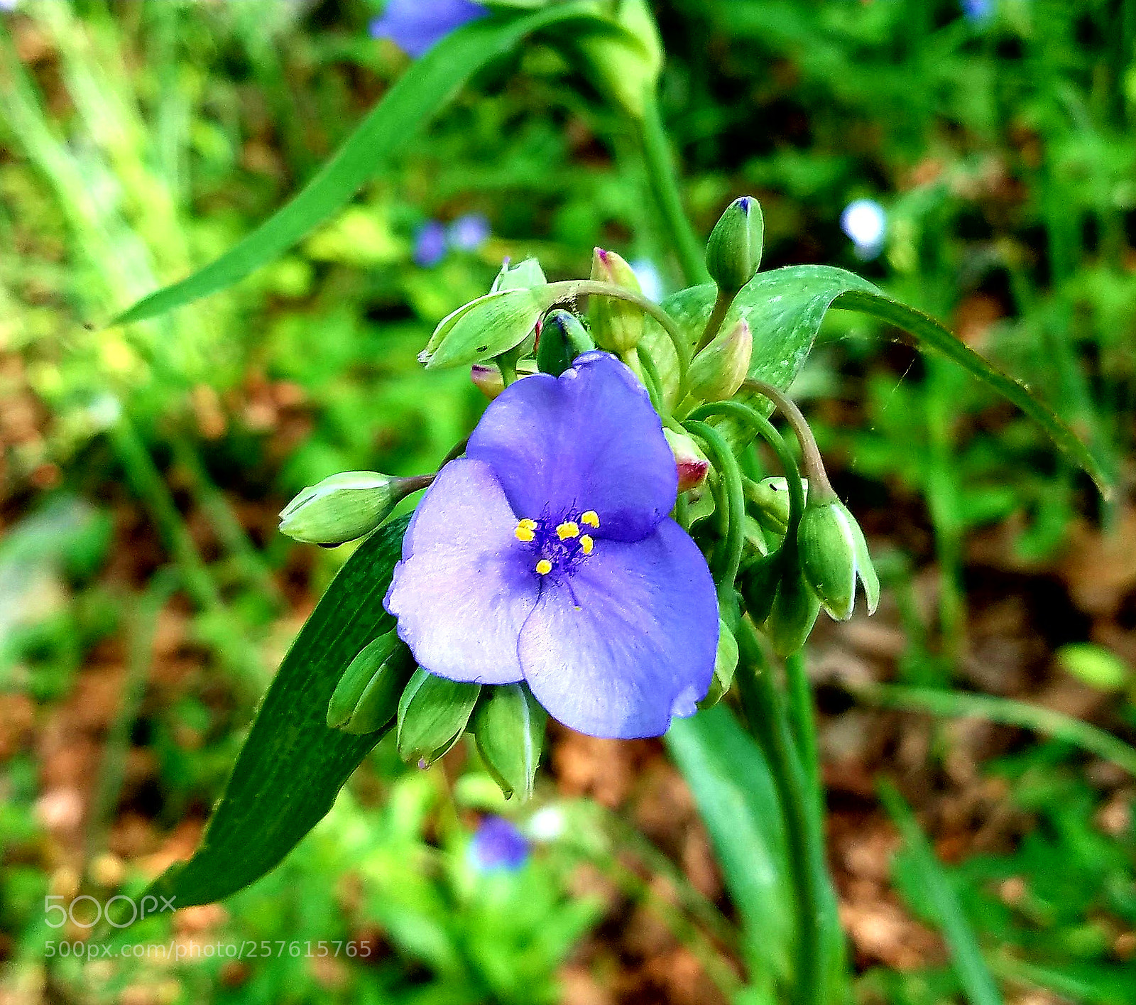 Samsung Galaxy S7 Edge sample photo. Untitled photography