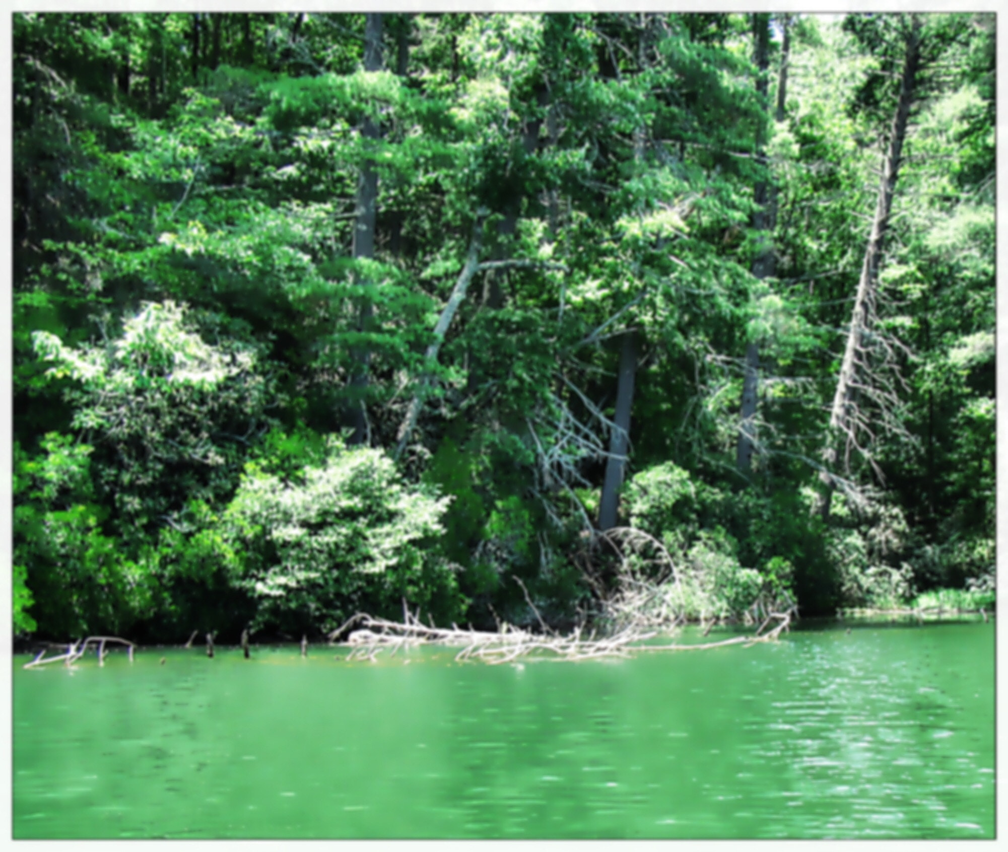 Canon PowerShot D20 sample photo. Lake photography