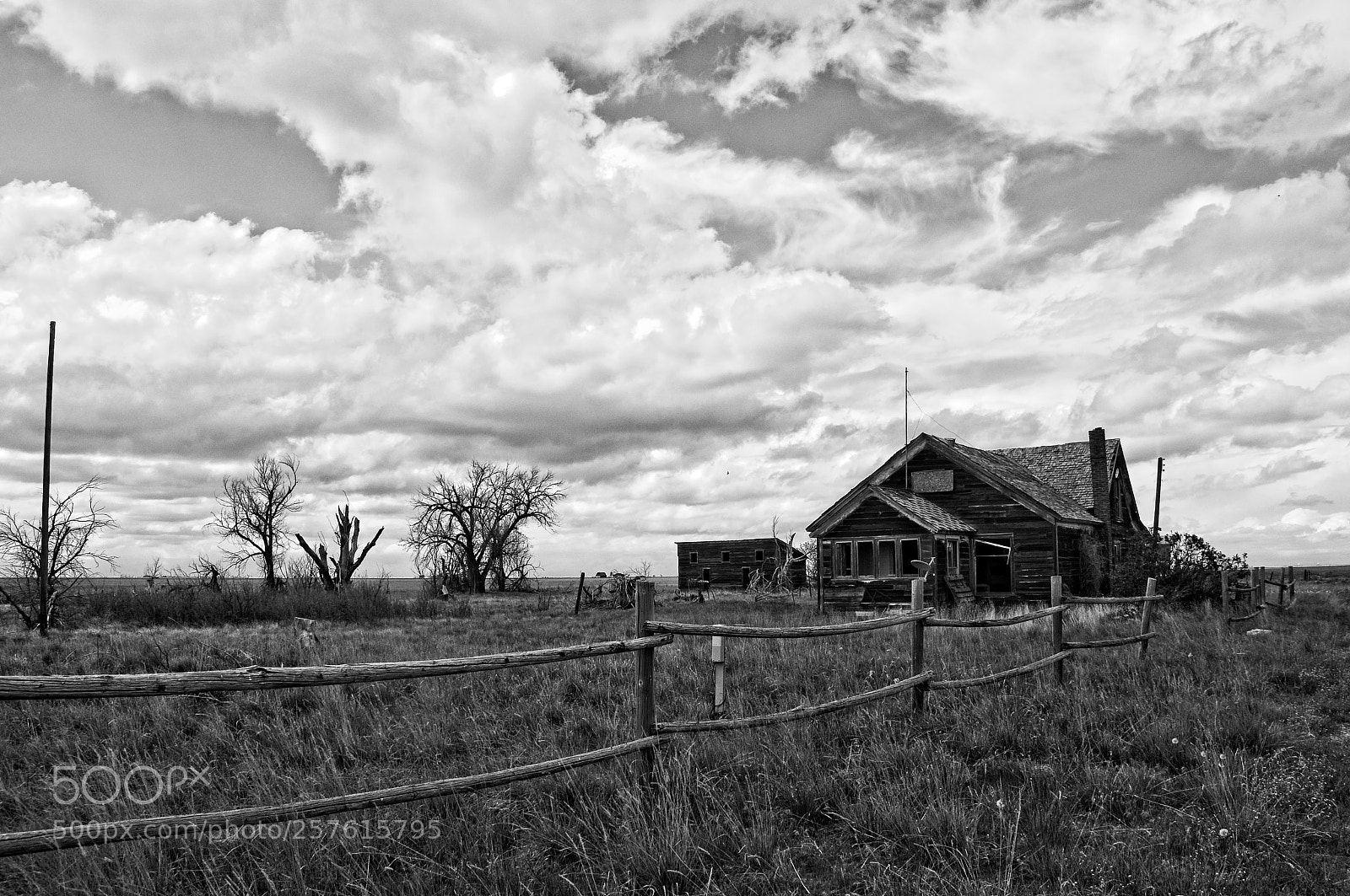 Nikon D300S sample photo. May 11, 2018 photography