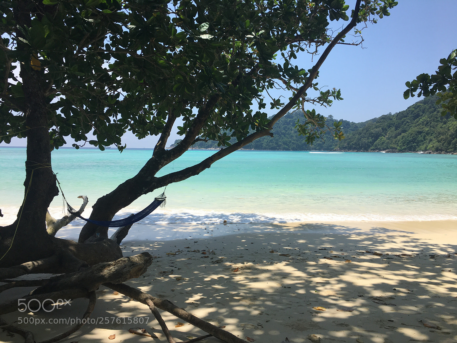 Apple iPhone 6s sample photo. Just paradise photography