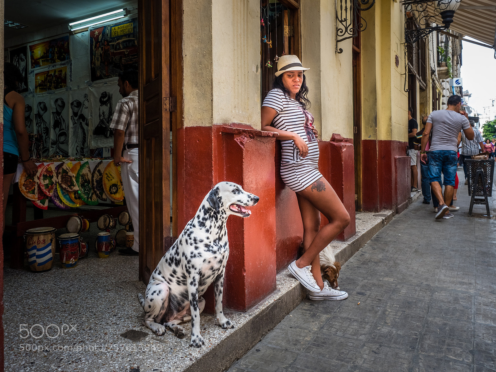 Olympus OM-D E-M5 II sample photo. Dots vs stripes photography
