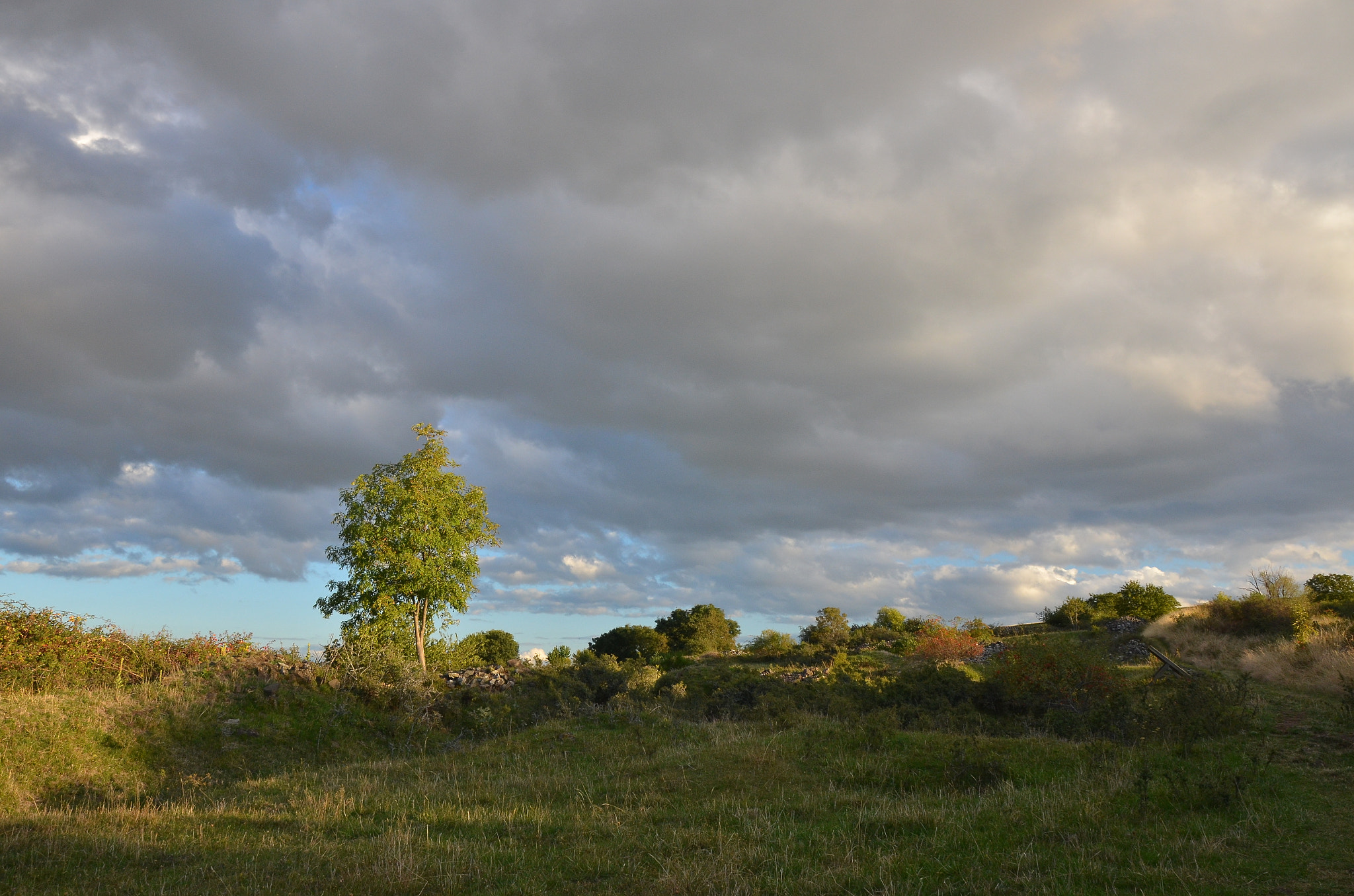 Sigma 17-50mm F2.8 EX DC OS HSM sample photo. Gergovie photography