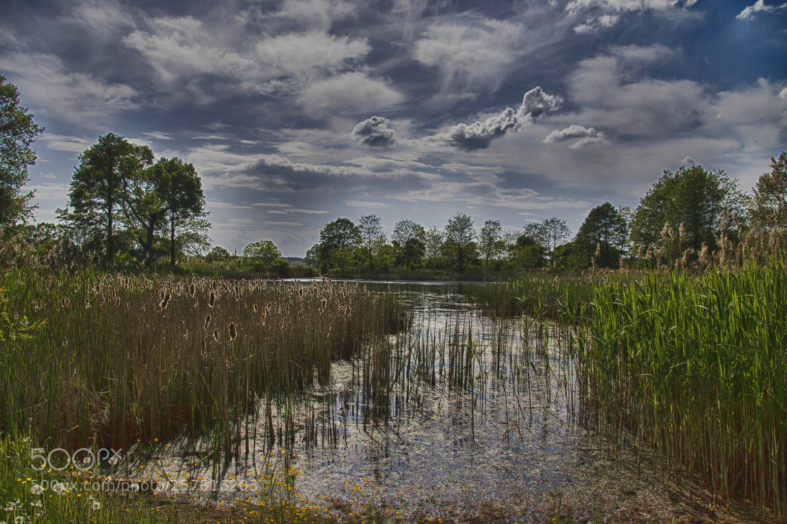 Canon EOS 760D (EOS Rebel T6s / EOS 8000D) sample photo. Afternoon over the water photography