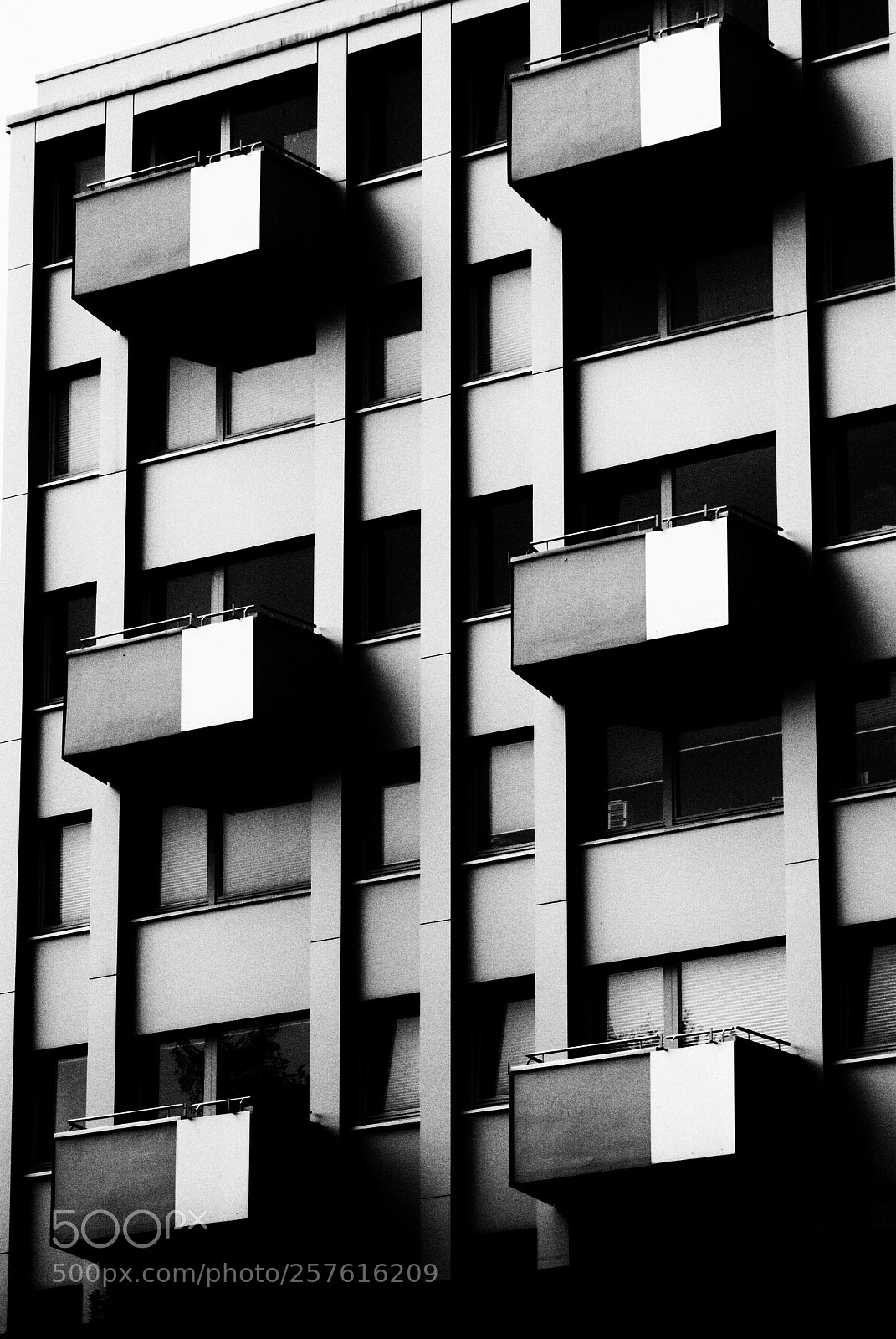 Nikon D3000 sample photo. Untitled photography
