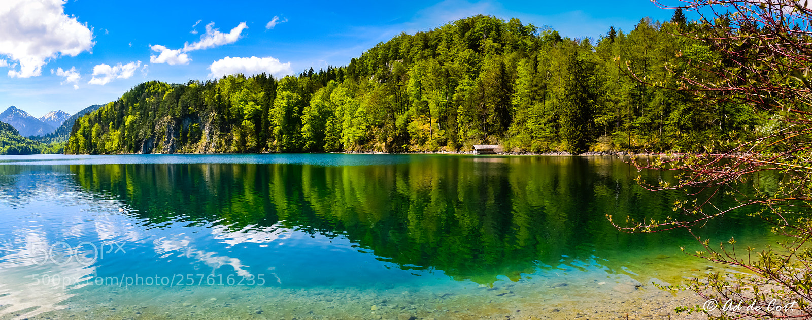 Nikon D5300 sample photo. Germany, alpsee photography