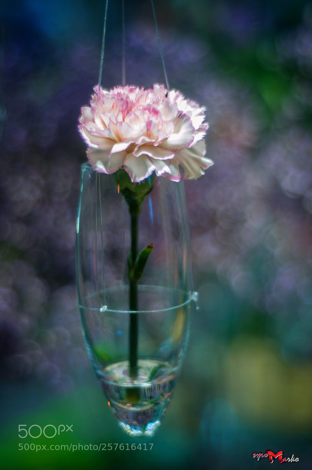 Nikon D90 sample photo. Untitled photography