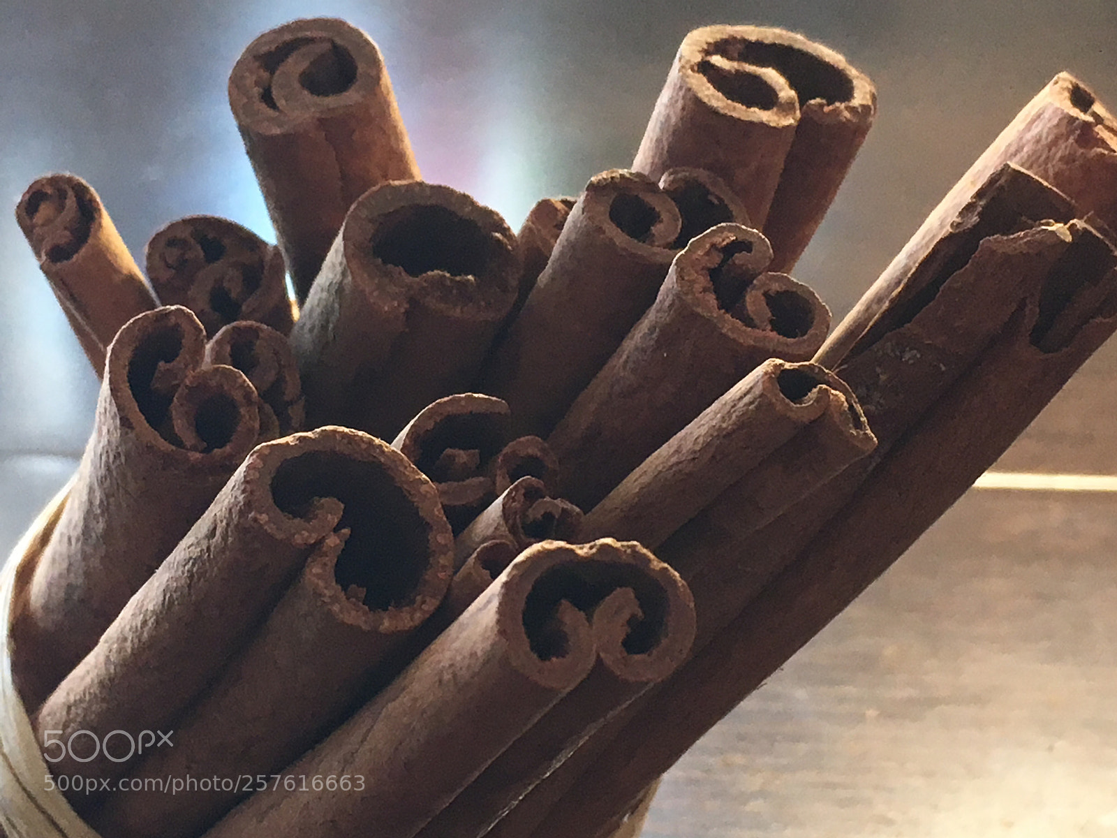 Apple iPhone 6s sample photo. Untitled photography