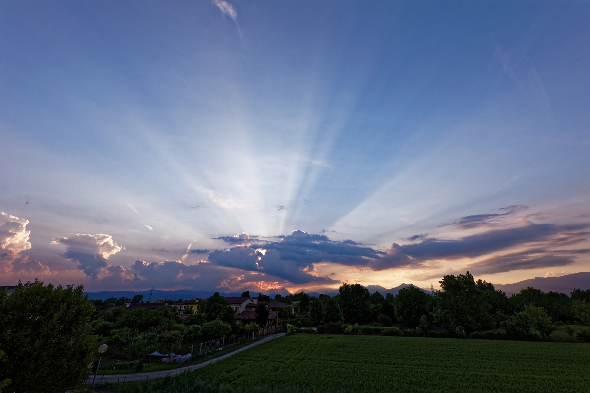 Canon EF 85mm F1.8 USM sample photo. Good evening everybody photography