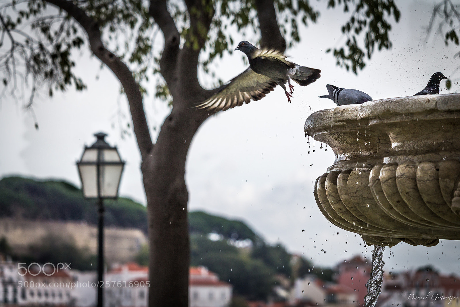 Canon EOS 1100D (EOS Rebel T3 / EOS Kiss X50) sample photo. Alfama photography