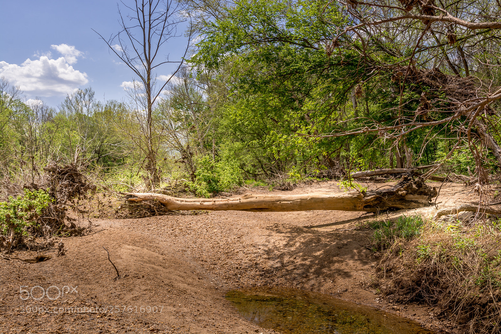 Nikon D7100 sample photo. St francois state park photography