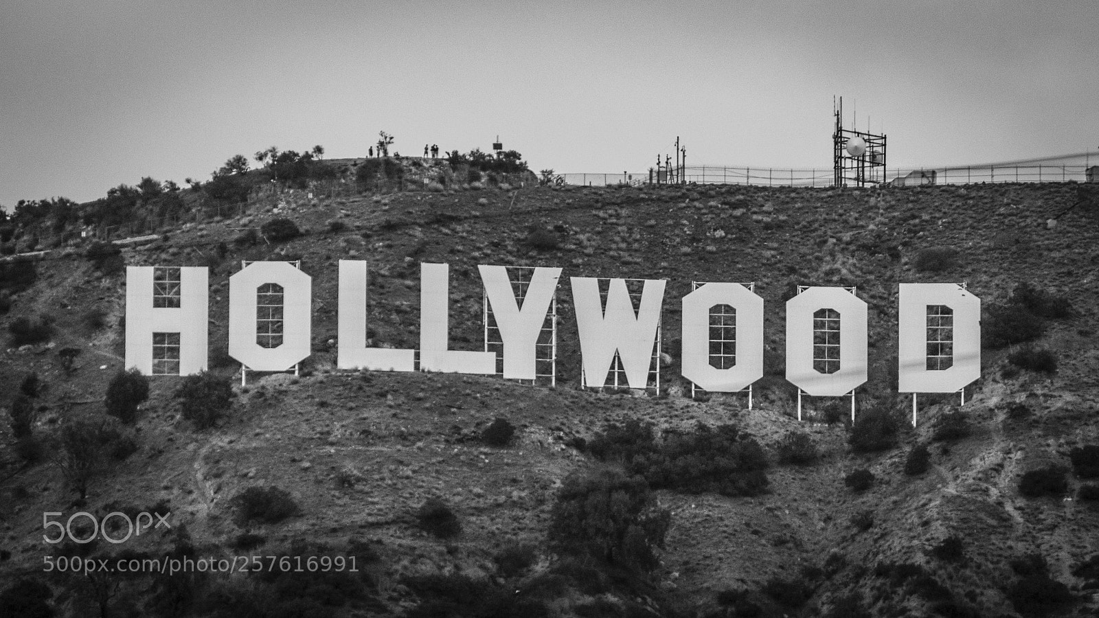 Nikon D3100 sample photo. Hollywood photography