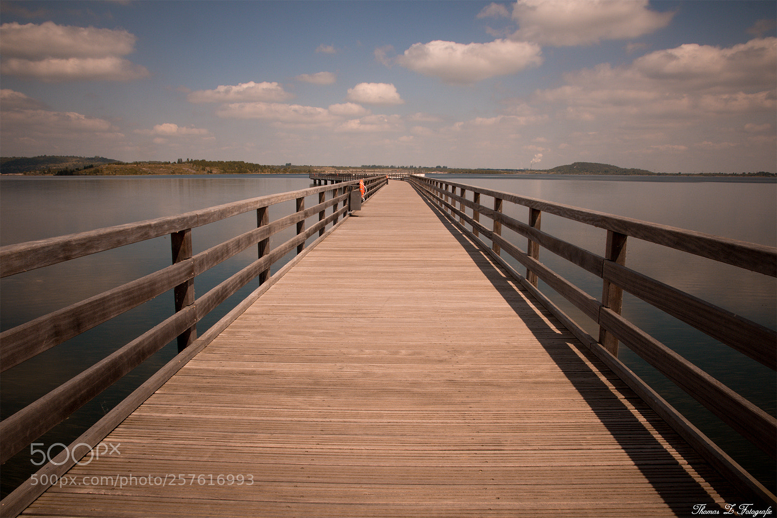 Canon EOS 750D (EOS Rebel T6i / EOS Kiss X8i) sample photo. Bridge photography