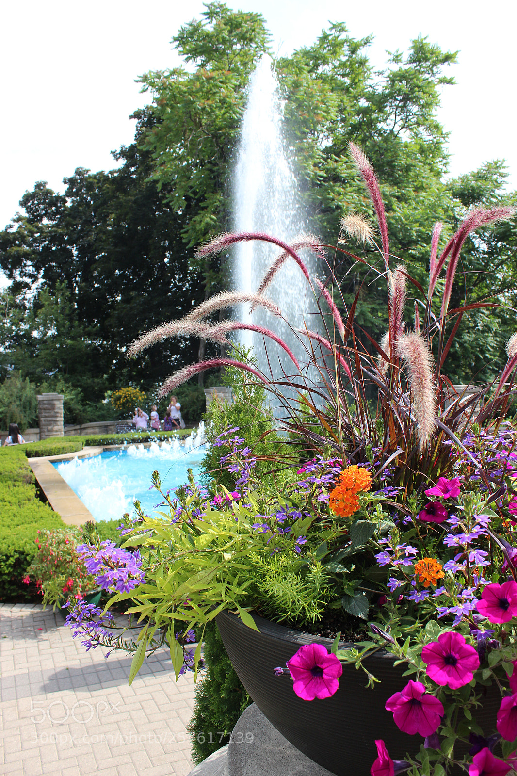 Canon EOS 600D (Rebel EOS T3i / EOS Kiss X5) sample photo. Sunshine garden photography