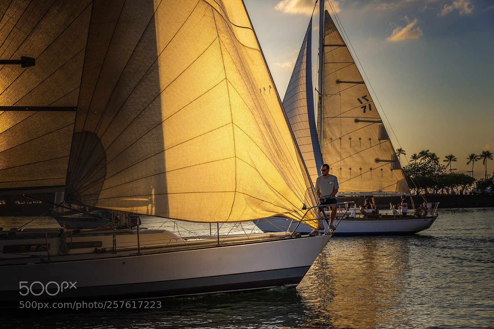 Nikon D610 sample photo. Golden sails photography